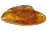 Fossil Fly (Diptera) In Baltic Amber #128336-1